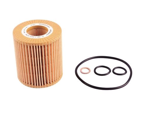 Motor del vehículo, sustitución de piezas El elemento del filtro de aceite 11427508969 para BMW